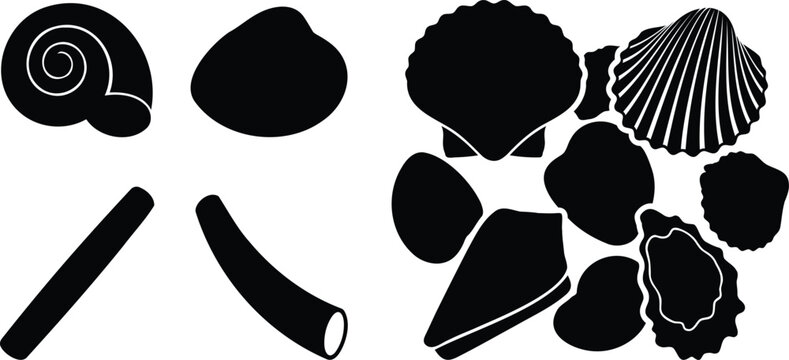 Black silhouette collection of various sea shells