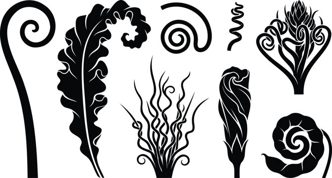 Set of black fern plant silhouettes and spiral leaf shapes