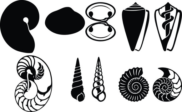 Set of black and white sea shell silhouettes