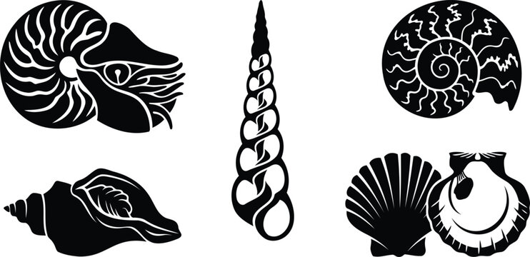 Set of black seashell icons on a plain background