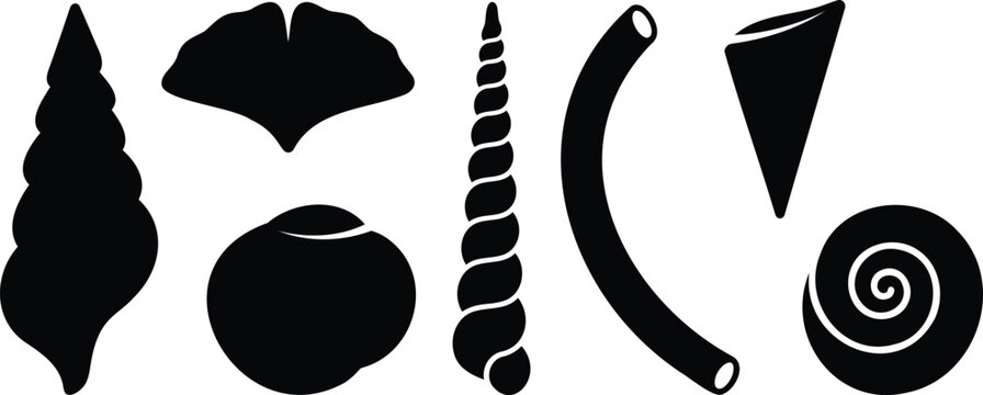Set of black seashell silhouettes on a plain surface