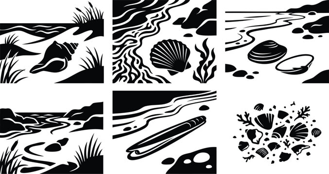 Black and white seashell and beach nature illustrations