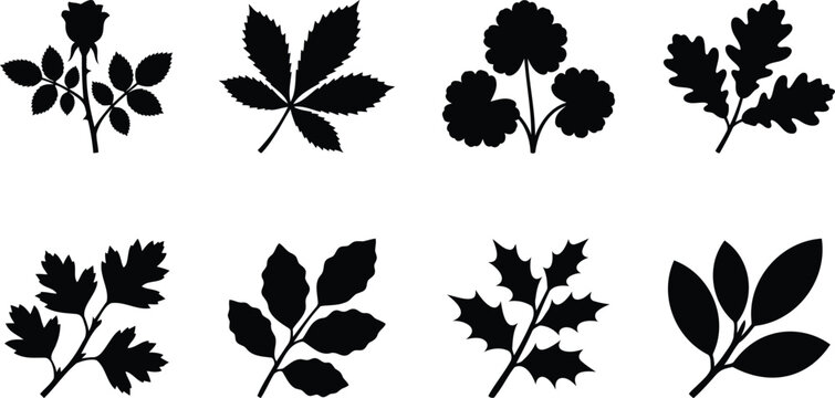 Set of black leaf and flower silhouettes for nature design