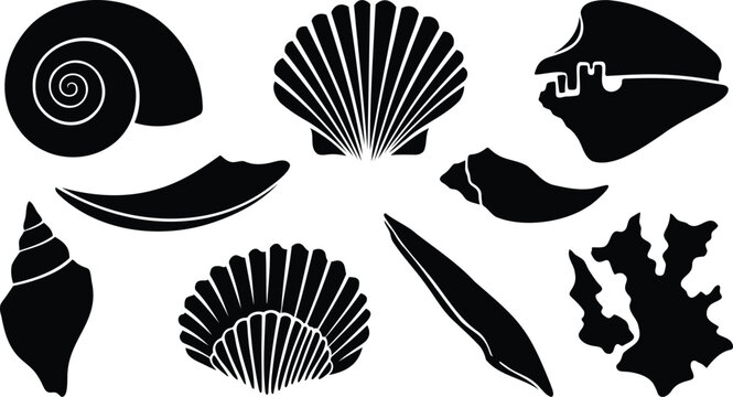 Set of black seashell icons and ocean life shapes