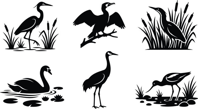 Set of wild water bird silhouettes in wetlands