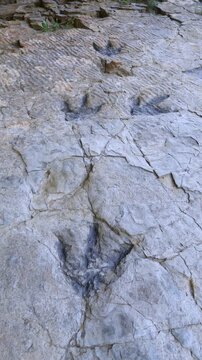 Dinosaur footprints (ichnites) at the Los Cayos site in Cornago, Cervera region, Eastern Rioja or Lower Rioja, Autonomous Community of La Rioja, Spain, Europe