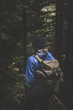 Back view of a male hiker with backpack standing in a dense, dark alpine forest. Atmospheric lighting and moody woodland scene in Val Seriana, Italian Alps.
