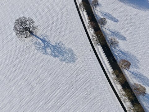 Luftbild einer ger&auml;umten Stra&szlig;e und Radweg mit Allee durch eine verschneite Winterlandschaft mit Schnee auf den Feldern und einem gro&szlig;en Solit&auml;rbaum