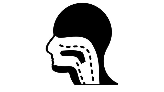 sagittal side view of the human upper airway and throat animation, head and neck airway animated video, laryngeal and pharyngeal structure motion graphics