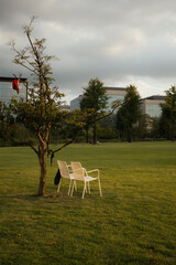 Tranquil Park Lawn at Sunset