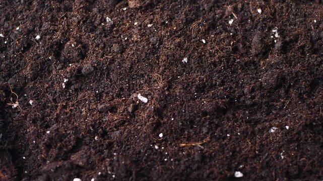 Close-up rotating video fertile universal soil with rich natural texture and dark organic particles, earthy and agricultural atmosphere. gardening concepts, planting visuals, ecology related content