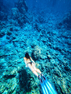 Woman freediving with long fins over a colorful rocky seabed in clear blue Mediterranean sea, adventurous summer holiday concept with generous copy space for tourism design