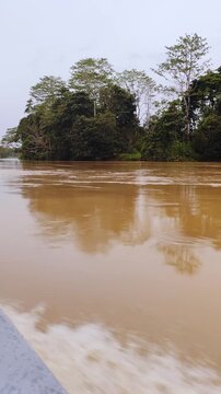 The bow of a tour boat moving forward through the muddy brown waters of the Kinabatangan River during a wildlife safari in the jungle of Sabah, Borneo, Malaysia.