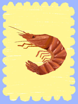 shrimp on yellow background