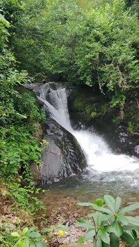 A clear stream cascades over moss-covered rocks in a lush forest, surrounded by dense green foliage. Podcast cover for nature sounds and mindfulness relaxation.