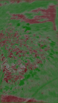 Un'evocativa e ipnotica texture digitale combina sfumature di verde e venature rosso acceso in un fluido pattern astratto