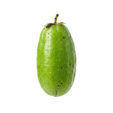 Fresh Whole Bilimbi Fruit or Averrhoa Bilimbi