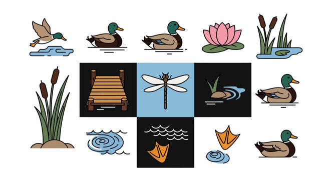 Collection of mallard ducks, water lilies, reeds, and other pond elements.