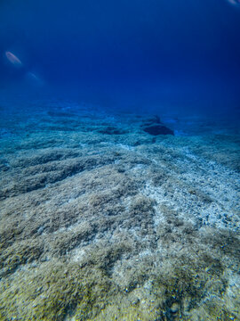 Peaceful underwater seascape with rocky seabed and deep blue open water, creating a serene marine travel background with generous copy space for vacation and ocean themes