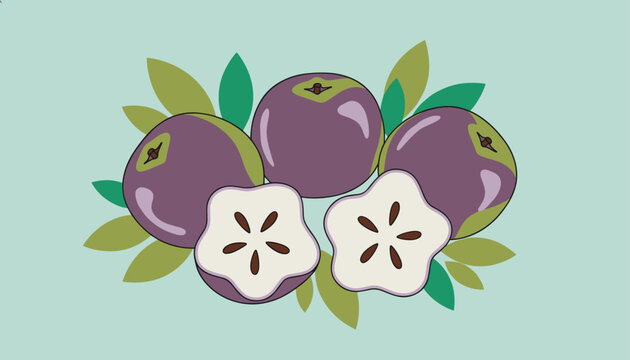 Fresh whole and sliced tropical purple star apples with green leaves arranged on a light green pastel background.