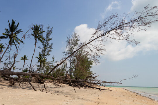 Cyclone aftermath on a sandy beach in Mozambique