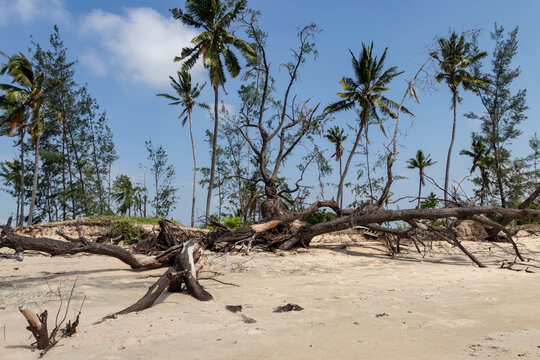 Cyclone Aftermath: Beach Damage in Mozambique