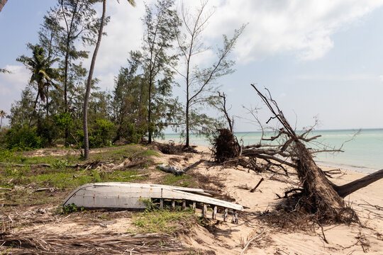 Cyclone-Stricken Beach in Mozambique
