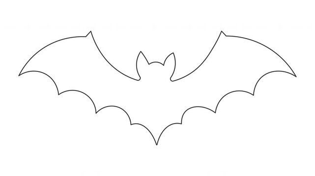 Continuous line bat drawing animation on clean minimalist background.