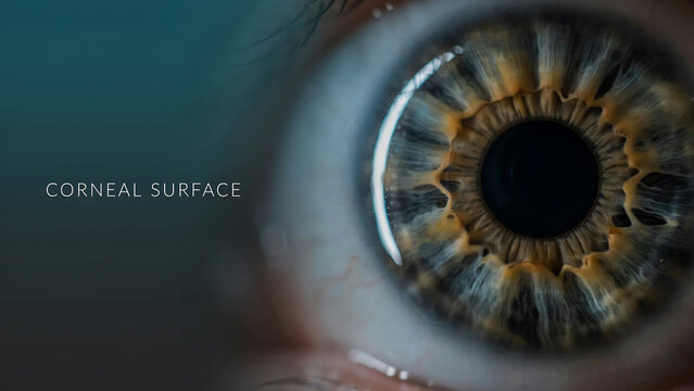 Macro view of a human eye highlighting the corneal surface texture