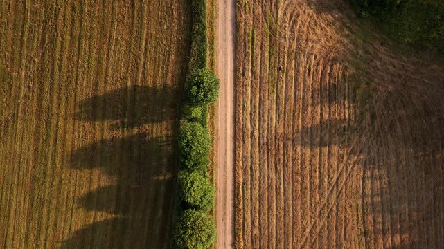 Aerial view shows dirt path splitting forest and farmland. Pile of logs by the road. Wood materials ready for transportation. Scene feels peaceful, rural, and untouched. Ideal for nature, agriculture