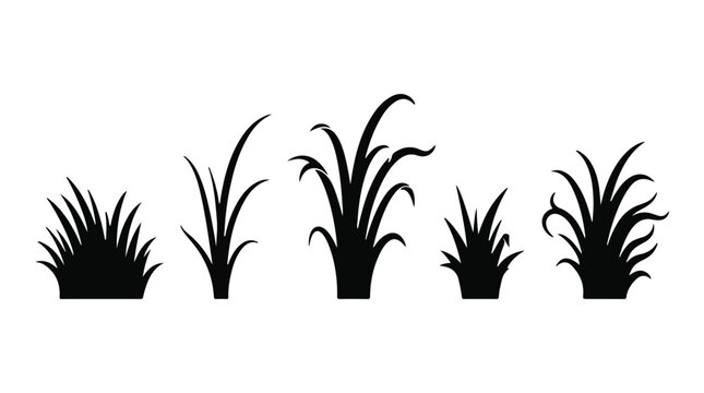 Cad tree lines Black Grass Silhouettes, Vector Silhouette Grass Plants, Tumbleweed Grass Symbols, Black Grass Tufts, Vector Clipart Silhouettes, Silhouette Grass Assets vector