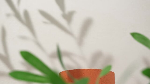 Product Presentation Scene made with Single Terracotta Cylinder Podium and Leaves Shadow