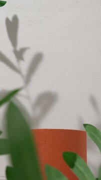 Product presentation mockup scene with round terracotta podium, leaves and slow zoom in