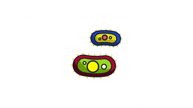 Two colorful unicellular microorganisms with bright internal cells suitable for science textbooks, educational materials, and biology websites.