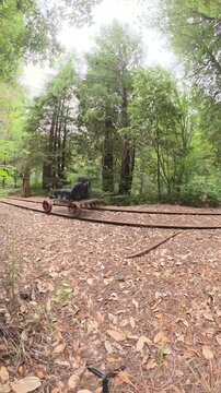 A couple enjoys an electric railbike ride along old tracks surrounded by redwood trees in Fort Bragg, California.