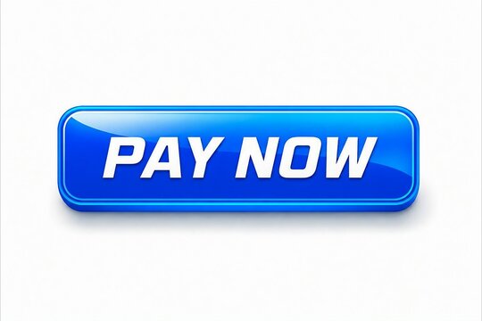 Modern pay now button with glossy blue 3d effect