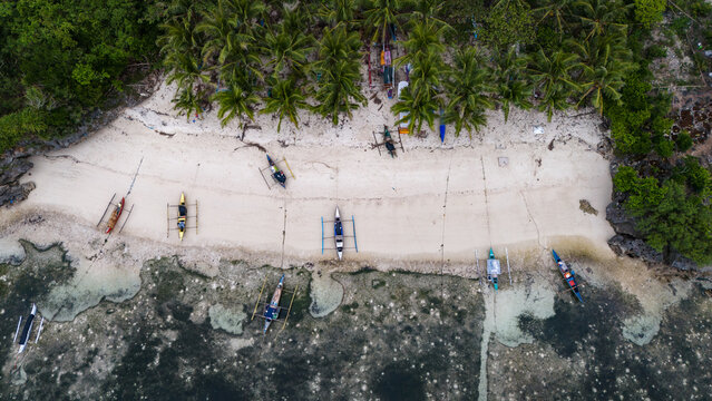 Aerial view of Siquijor beach with traditional outrigger boats anchored on white sand, surrounded by palm trees and shallow turquoise water in Siquijor, Central Visayas, Philippines.