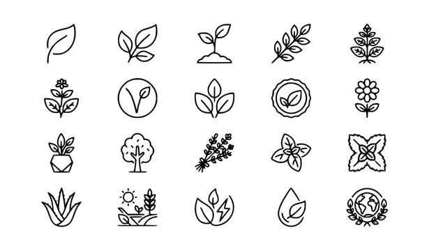 Leaf web icon collection in thin line style featuring plants ecology herbal vegetarian organic nature and sustainable living vector symbols