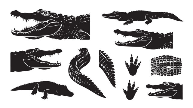 Alligator silhouette vector set, black crocodile icons and reptile graphics, predatory swamp animal illustrations for nature design