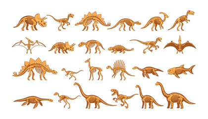 Prehistoric Dinosaur Fossil Skeleton Vector Set Featuring T-Rex, Triceratops, Stegosaurus, and Brachiosaurus Bones for Museum Branding, Archeology, and Paleontology Education Designs © yesmin