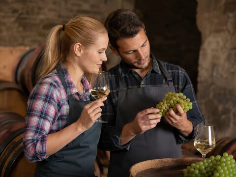 Weinlese und Verkostung &ndash; Winzerpaar pr&uuml;ft wei&szlig;e Trauben im Weinkeller in Deutschland und verkostet Wein. Authentisches Handwerk, regionale Genusskultur und herbstliche Weintradition.