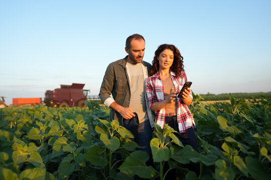 Farmers Checking Crop Health