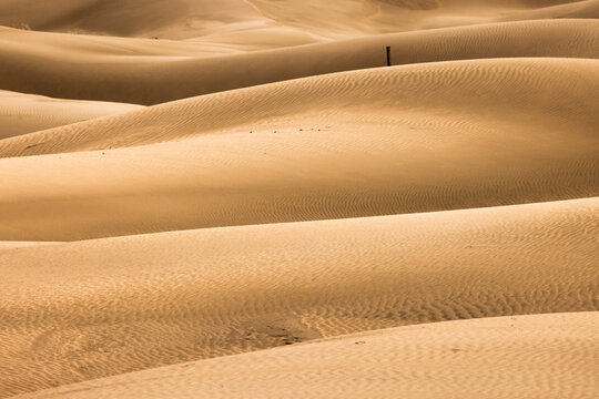 Aerial view of sand dunes of the Senek desert with undulating ridges and wind-swept patterns Senek, Mangystau Region, Kazakhstan.