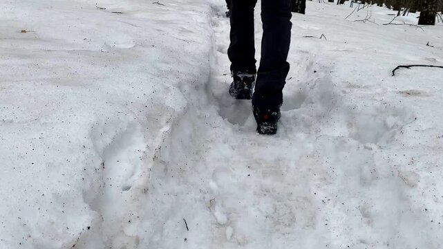 Close up of hiker feet walking on wet melting snow trail in spring forest.