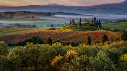 Obraz premium Tuscan rolling hills with fog at sunrise.