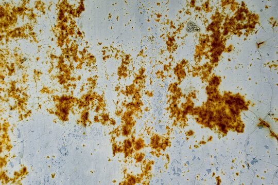 Rust patches spreading unevenly across a white painted metal surface, showing signs of oxidation and weathering. Brown and orange rust spots contrast with the fading paint, highlighting the process of