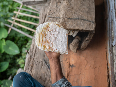 Traditional Bee Keeping