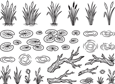 Vintage pond life vector set, hand drawn cattails and lily pads, rustic swamp plants and water ripples, botanical nature illustrations