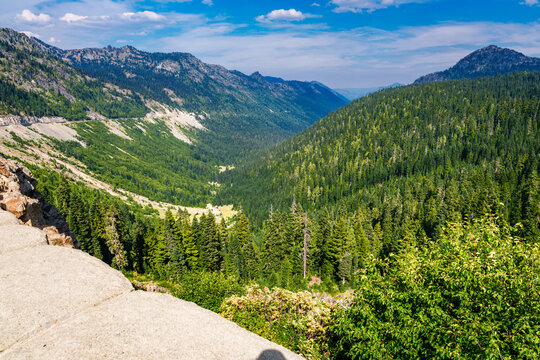 View Of Chinook Pass 3