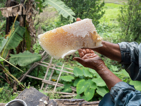 Traditional Bee Keeping